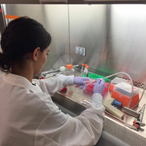 For her summer internship, Ana Dominguez worked in the Weiss Lab for Synthetic Biology at the Massachusetts Institute of Technology as part of the MIT Summer Research Program (MSRP). Photo courtesy of Ana Dominguez