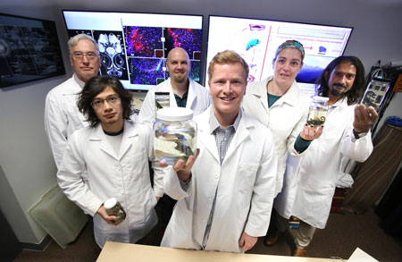 The UTEP team that proved it is possible to successfully preserve brain tissue of animals in remote locations includes, from left: Professor of Biological Sciences Carl Lieb, Ph.D.; biological sciences master’s student Kenichiro Negishi; Associate Professor of Biological Sciences Eli Greenbaum, Ph.D.; Ph.D. candidate in ecology and evolutionary biology Daniel Hughes; Biological Sciences Ph.D. candidate Ellen Walker; and Assistant Professor of Biological Sciences Arshad Khan, Ph.D. Photo by J.R. Hernandez / UTEP Communications