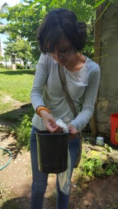 Vanessa Enriquez is seen in Panama during her summer internship. She spent the summer working to identify malaria vector mosquitoes. Photo courtesy of Vanessa Enriquez